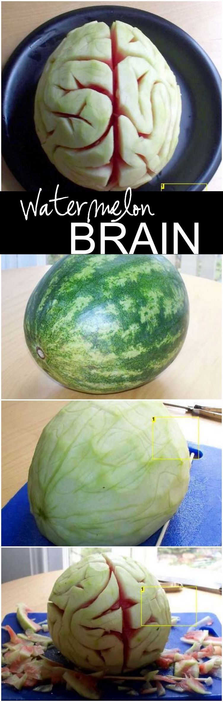 DIY Watermelon Brain