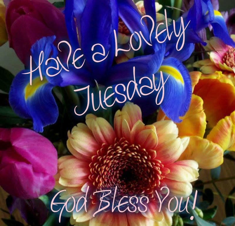 Have a lovely Tuesday Have a lovely Tuesday