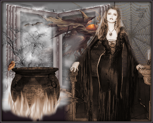 Witch's Brew Witch's Brew