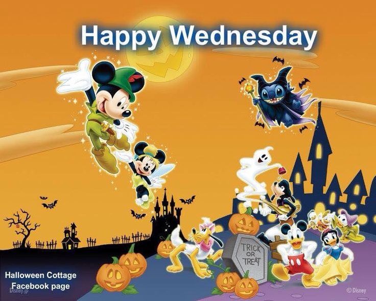 Happy Wednesday