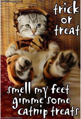Trick or Treat
