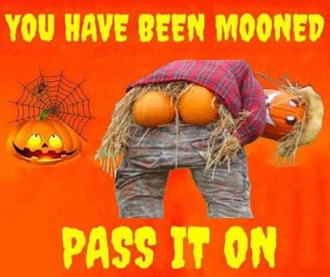 You have been mooned