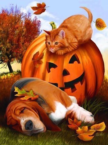 Halloween Pets