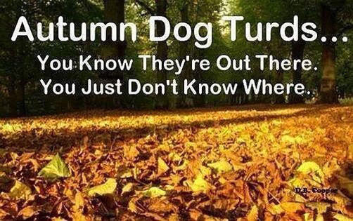 Autumn Dog Turds