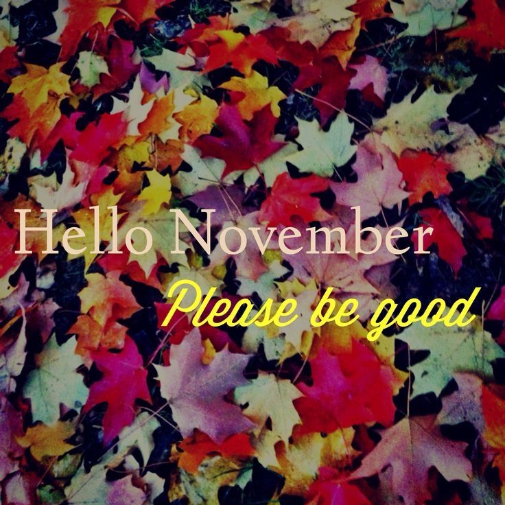 Hello November, please be good Hello November, please be good
