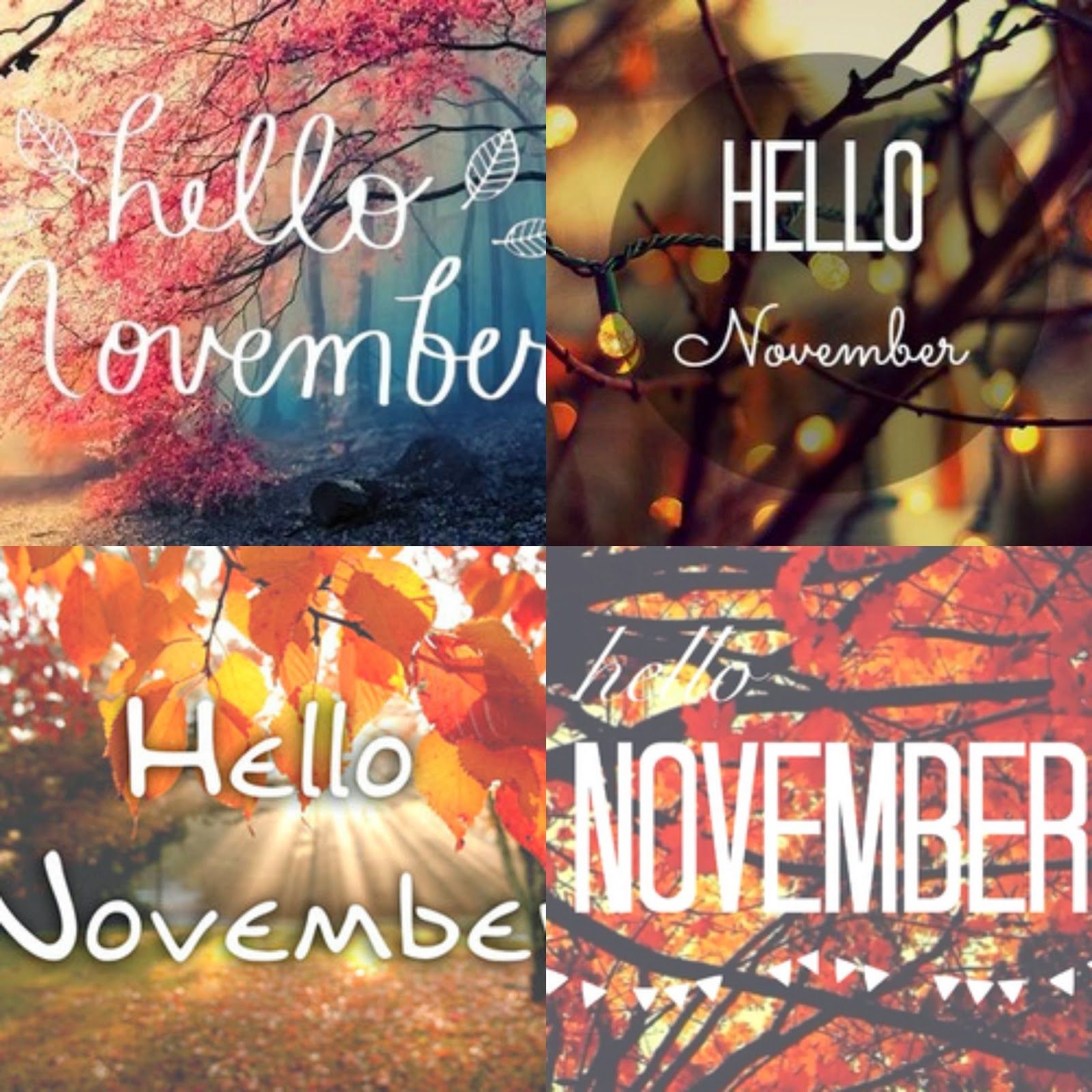 Hello November Hello November