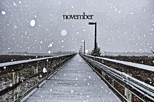 November November