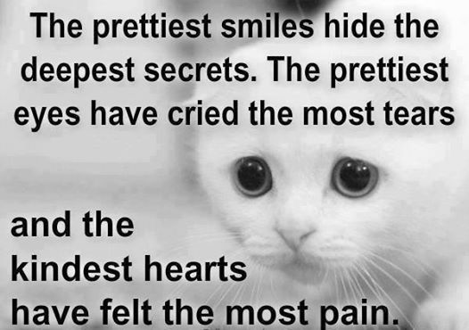 the kindest hearts
