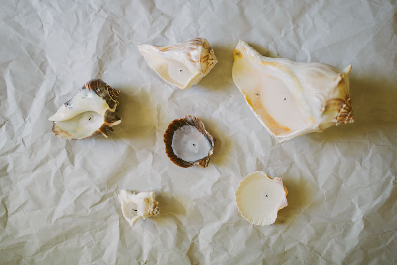 Seashell Candles Seashell Candles