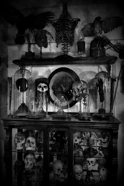 Mantels full of skulls
