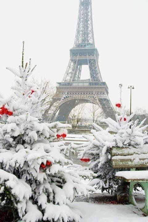 Christmas in Paris