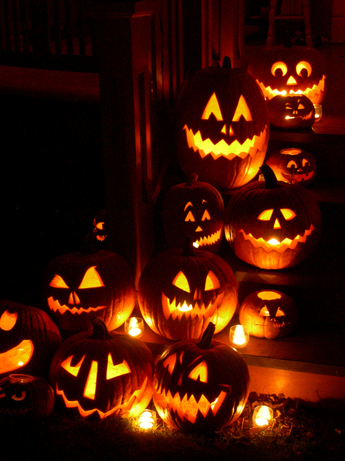 Lot of Jack O Lanterns Lot of Jack O Lanterns