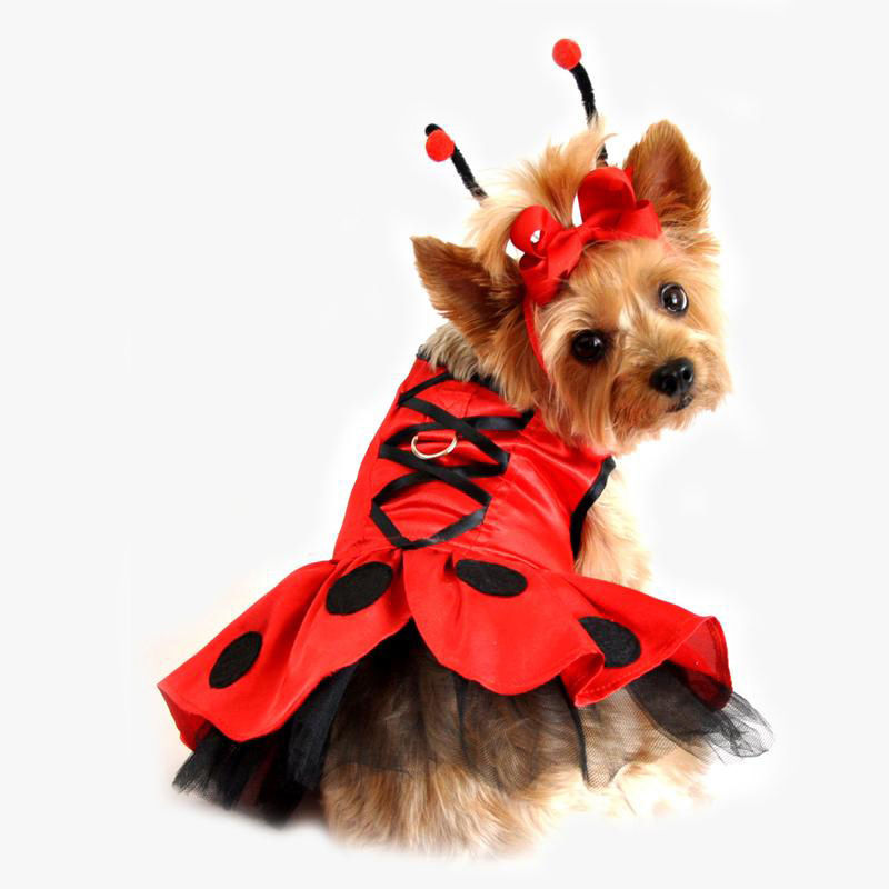 Doggy Ladybug Halloween Costume