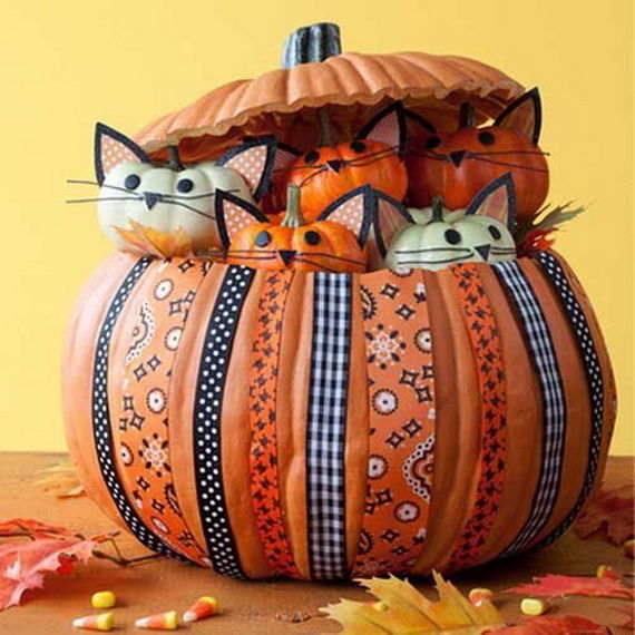 Pumpkin Kitties Pumpkin Kitties
