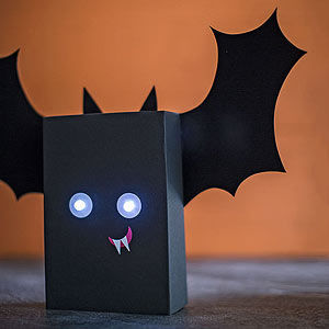 Box Bat Box Bat