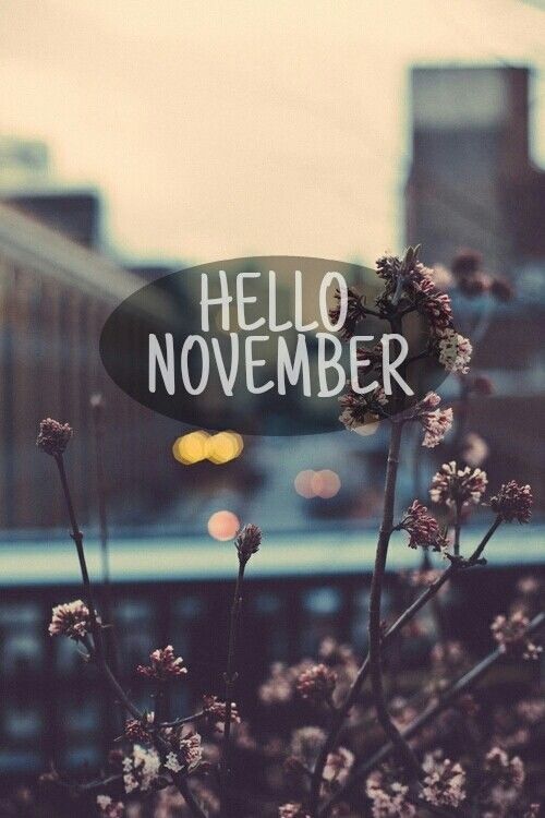Hello November