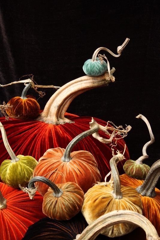 Velvet Pumpkins