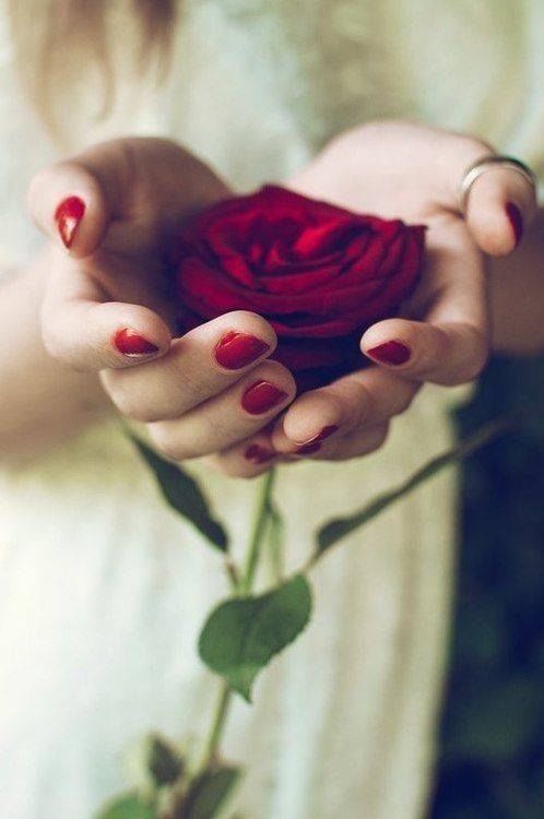 A Rose for you A Rose for you