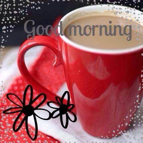Good Morning Good Morning