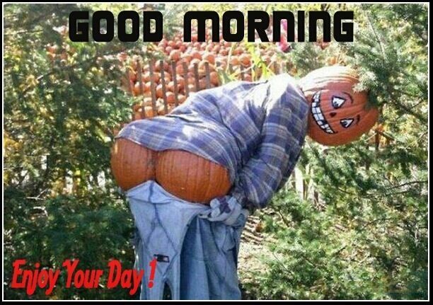 Good Morning Good Morning
