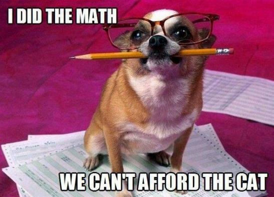 We can't afford the cat