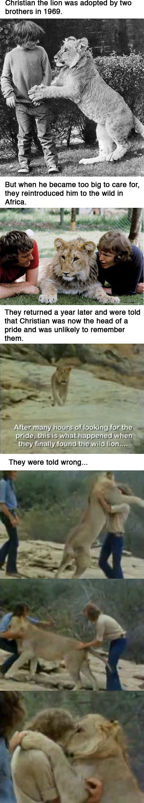 Beautiful Story
