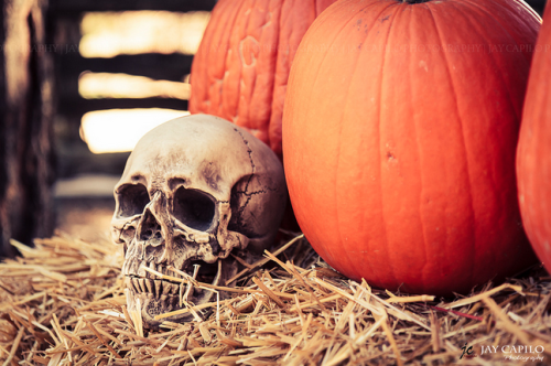 Skulls and pumpkins