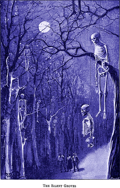 The silent groves