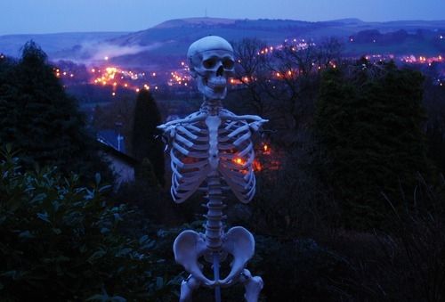 Armless Skeleton Armless Skeleton