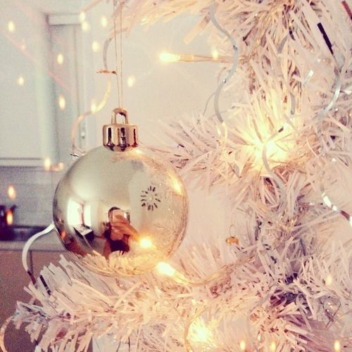 Sliver ornament
