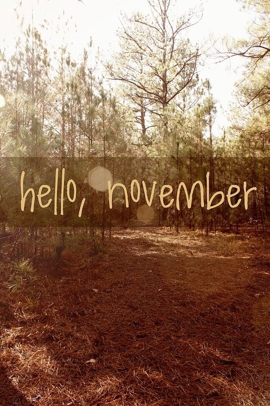Hello November
