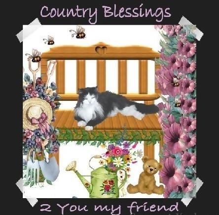Country Blessings 2 You My Friend Country Blessings 2 You My Friend