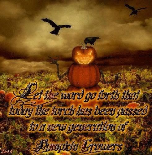 Pumpkin Growers