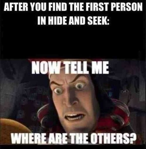 Hide n Seek