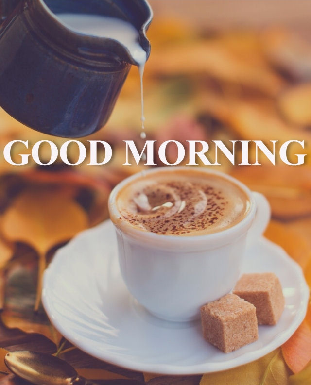 Good Morning