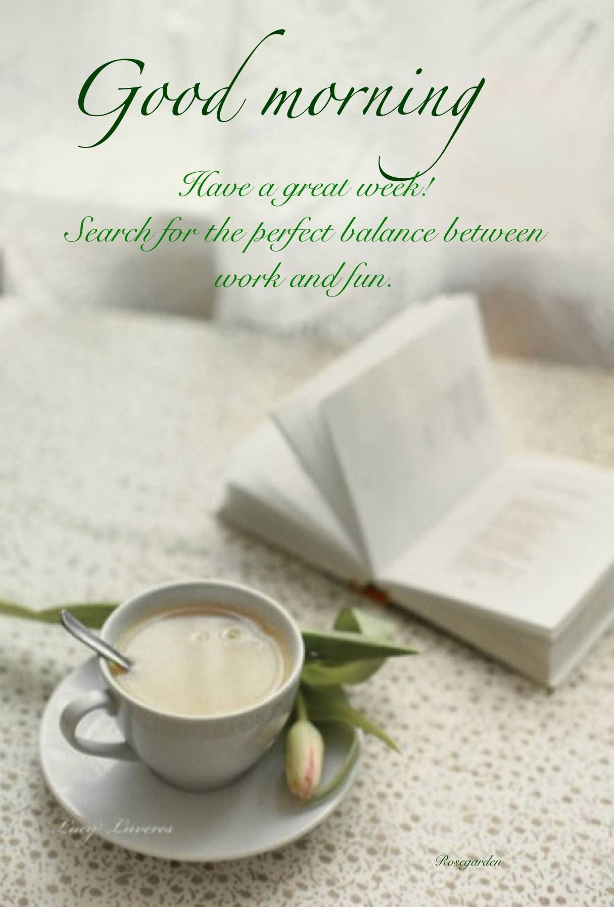 Good Morning