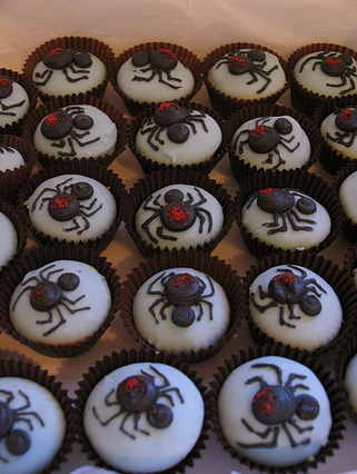 Spider cupcakes Spider cupcakes