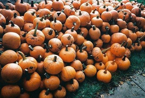 Stacks of pumpkins Stacks of pumpkins