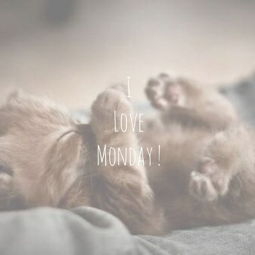 I love Monday