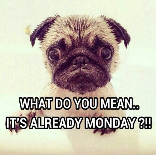 What do you mean its already monday