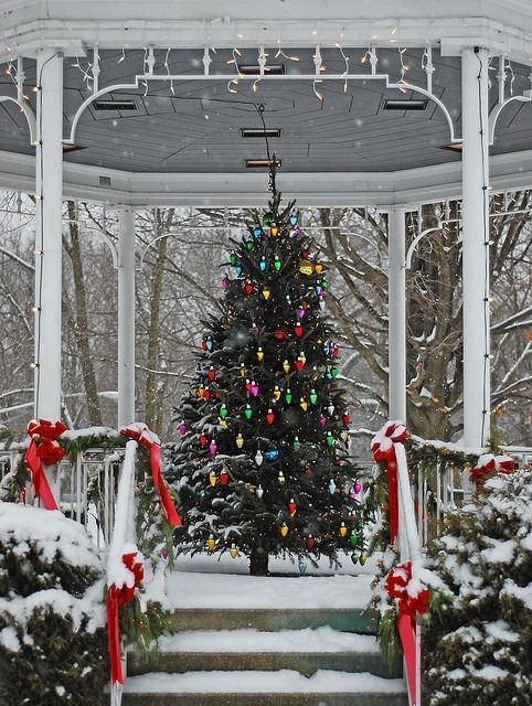 Outdoor christmas tree