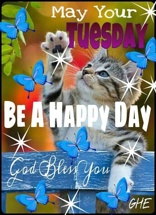 May Your Tuesday Be Happy May Your Tuesday Be Happy