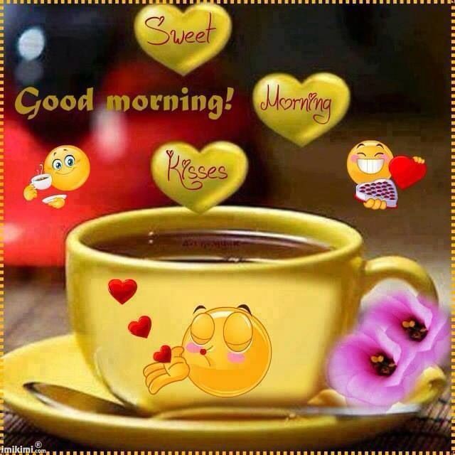 Good Morning Good Morning