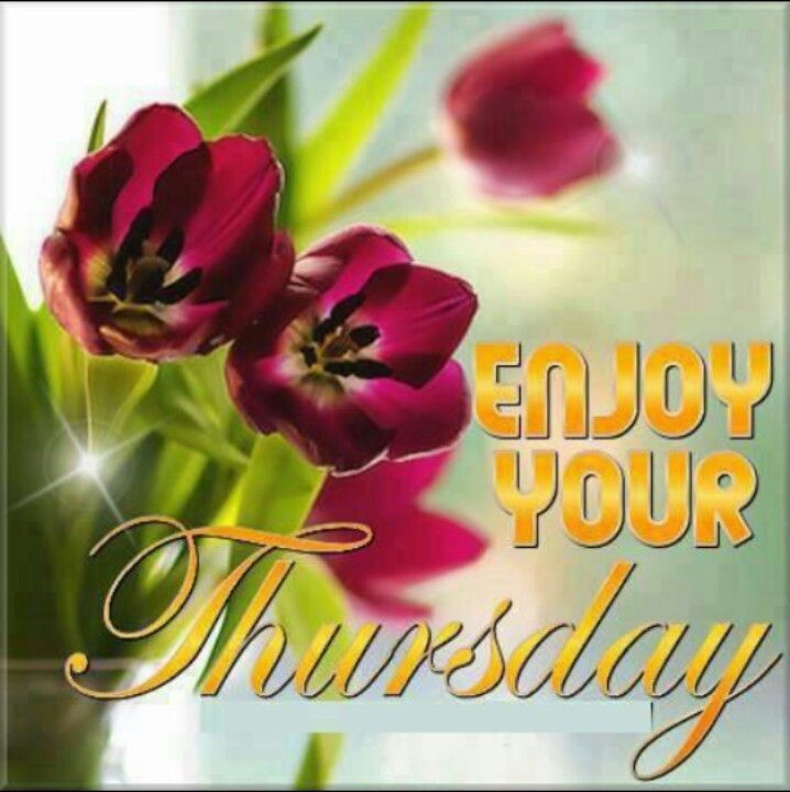 Enjoy your Thursday Enjoy your Thursday