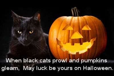 In Halloween In Halloween