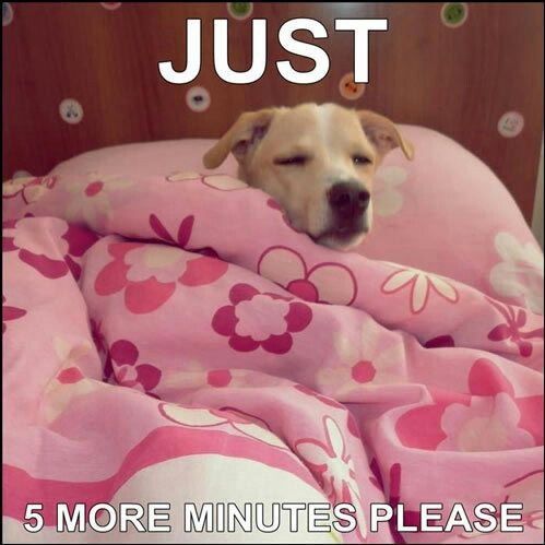 Just 5 more mins please Just 5 more mins please