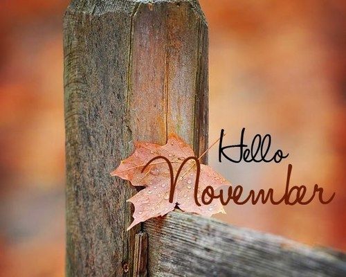 Hello November Hello November