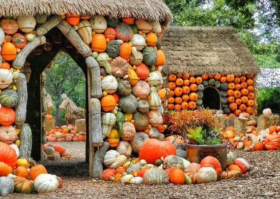 Dallas, TX Pumpkin Village at the Arboretum -1 Dallas, TX Pumpkin Village at the Arboretum -1
