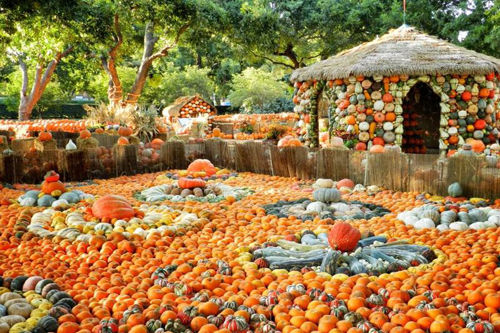 Dallas, TX Pumpkin Village at the Arboretum -3 Dallas, TX Pumpkin Village at the Arboretum -3