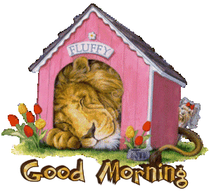 Good Morning Good Morning